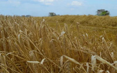 Farmer Partner Case Study | Tom Mellor | One Farmer’s Journey to Carbon Farming