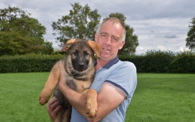 Farm to fork, the regenerative agriculture way. An interview with Mike Powley