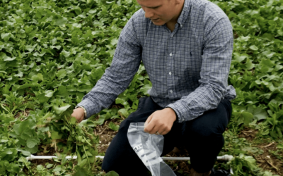 What Technologies Are Available to Measure Soil Nutrients and Organic Matter?
