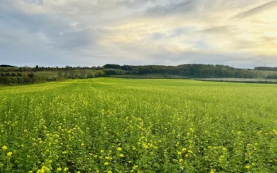 How Can a Regenerative Agriculture Approach Support Science Based Target Initiative?