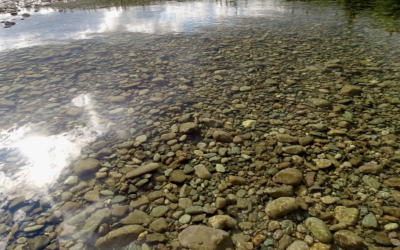 How Do We Reduce the Amount of Pesticides into Aquifers & Surface Water?