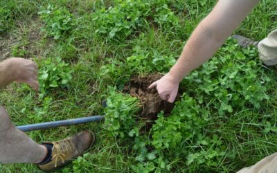 How to Reduce Artificial Nitrates Ending Up into Aquifers & Surface Water