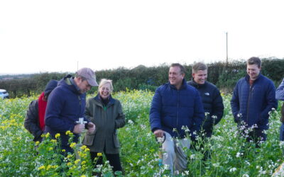 How Can We Work Farmers to Use Pesticides More Effectively?