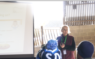 What Government Support is Available for Farmers to Transition to Regenerative Agriculture