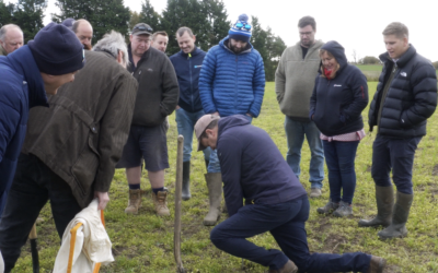 How Will Reducing Soil Compaction Prevent Siltation into Our Aquifers & Surface Water?