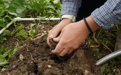 Can We Get Carbon Credits for Improving Our Soil Organic Carbon?