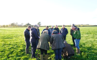 How Do We Reduce the Likelihood of Flooding on My Farmland?