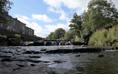 What are EcoSystem Services: The Benefits We Often Overlook