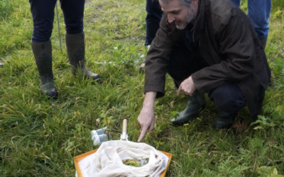 Can I Get Paid for Increasing Biodiversity on My Farm?