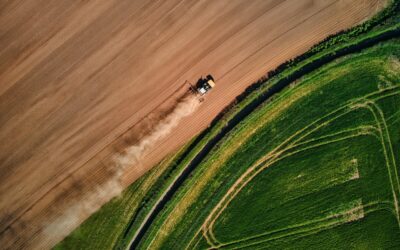 How Do I Improve My Farm Profitability? Strategies for Success