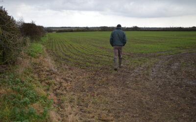 What Causes Soil Compaction in Farming