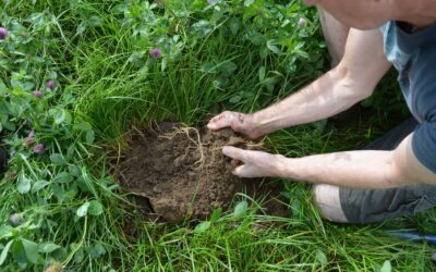 How Do I Reduce Soil Compaction on My Farmland?