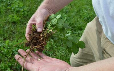 Does Regenerative Agriculture Farming Systems Require Less Investment?