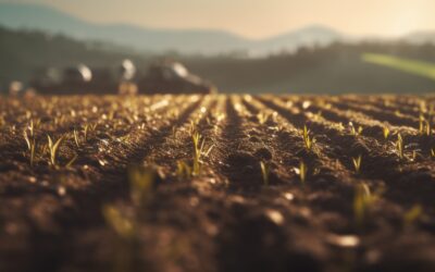 Effective Strategies on How to Reduce Soil Compaction in Fields