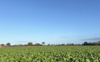 How Can I Make My Farmland More Resilient to Unpredictable UK Weather Patterns?