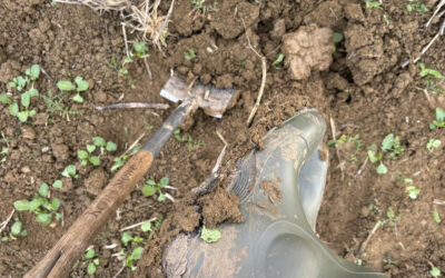 How Can I Reduce Soil Compaction on My Farm?
