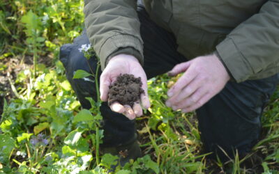 The Link Between Soil Erosion and Water Quality in Agriculture