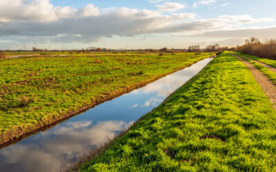 How Can I Partner With Catchment Teams for Winter Readiness?