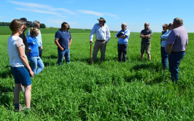 Press Release: HEINEKEN embarks on low carbon barley farming trial