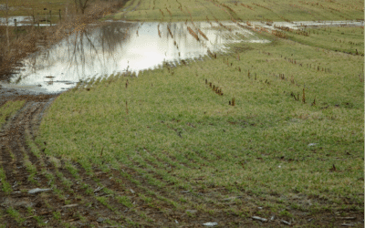How Can I Manage Gateway and Track Erosion in Wet Weather?