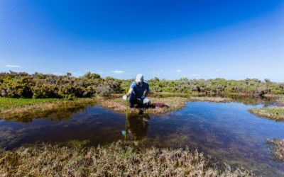 What’s Next for Water Quality Funding?
