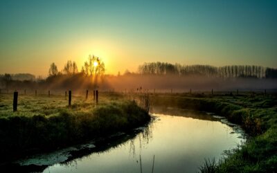 How Does Good Soil Structure Prevent Winter Runoff?