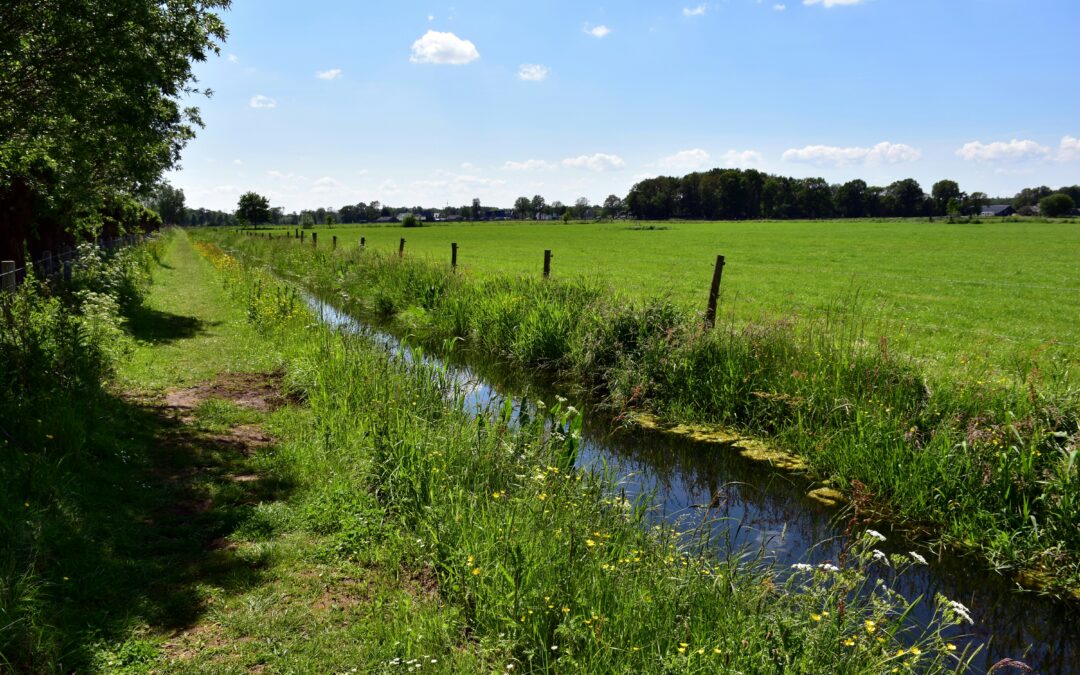 protect watercourses