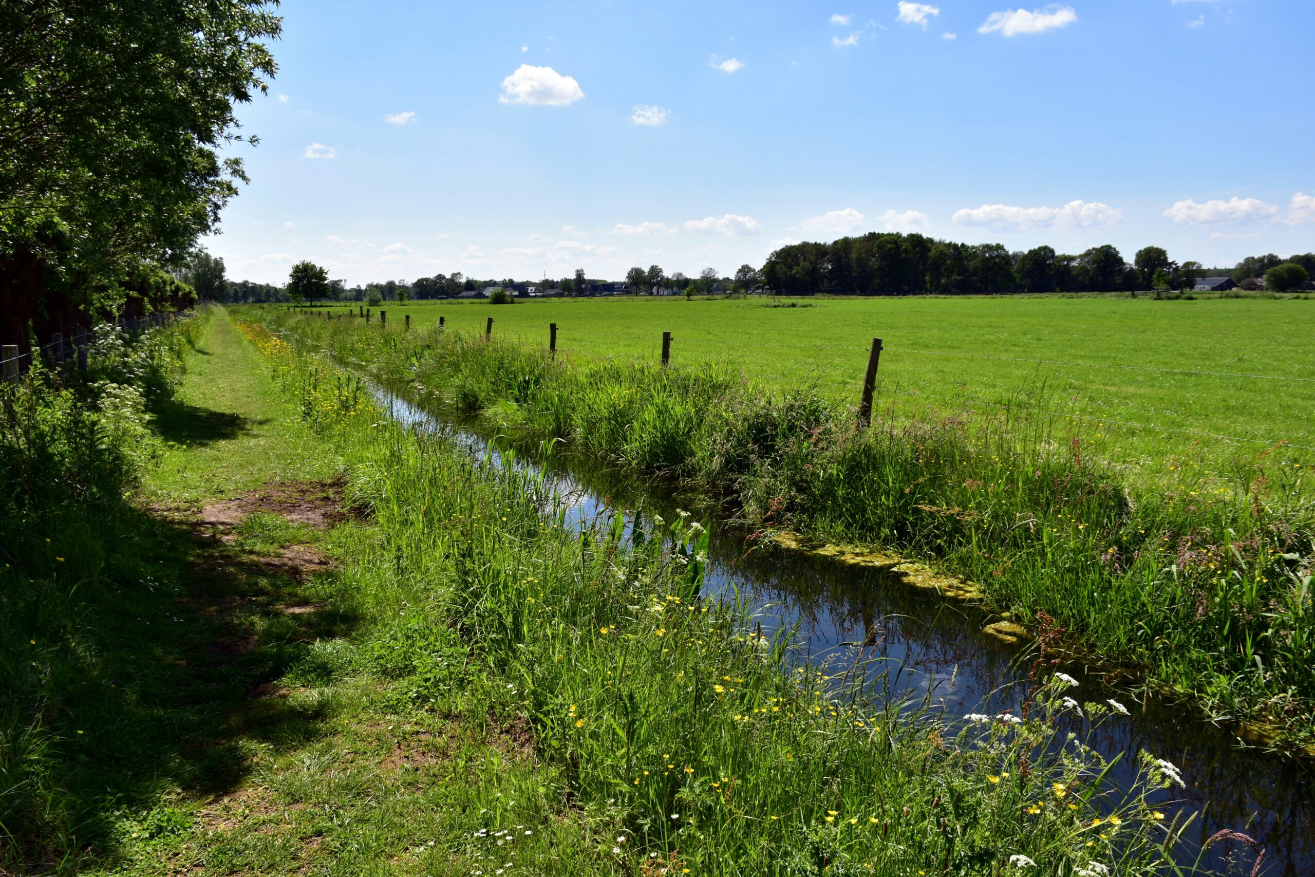 protect watercourses
