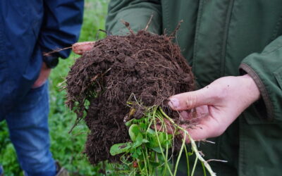 How Have Farms Integrated Carbon and Biodiversity Successfully?