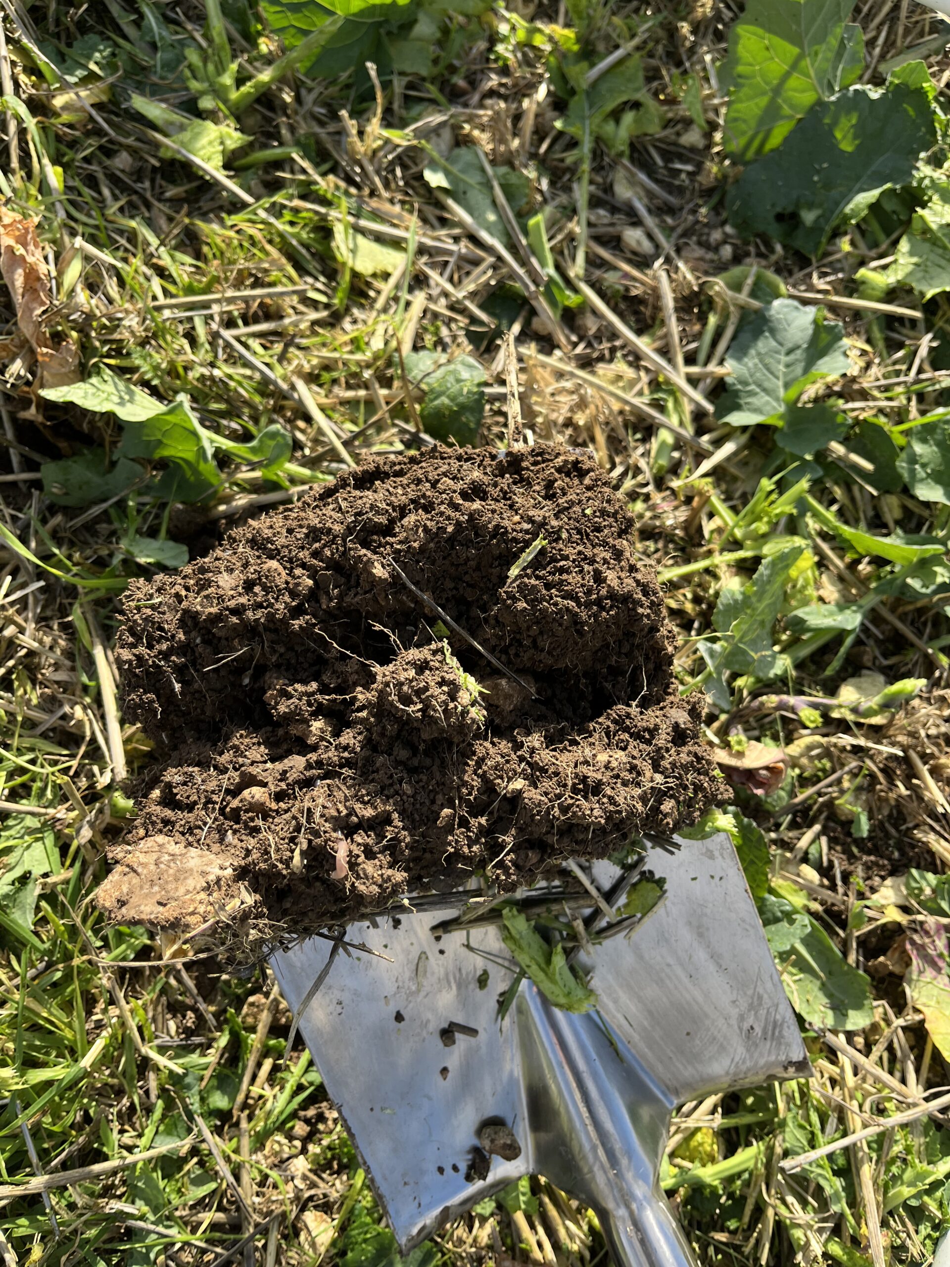 soil health