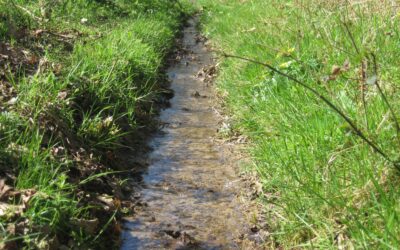 How Have Farms Reduced Sediment Loss in Catchment Areas?