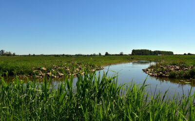 What Simple Field Fixes Save Soil and Water?