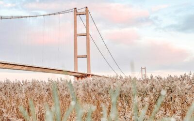 What Lessons Can I Learn From the Most Resilient Farms?